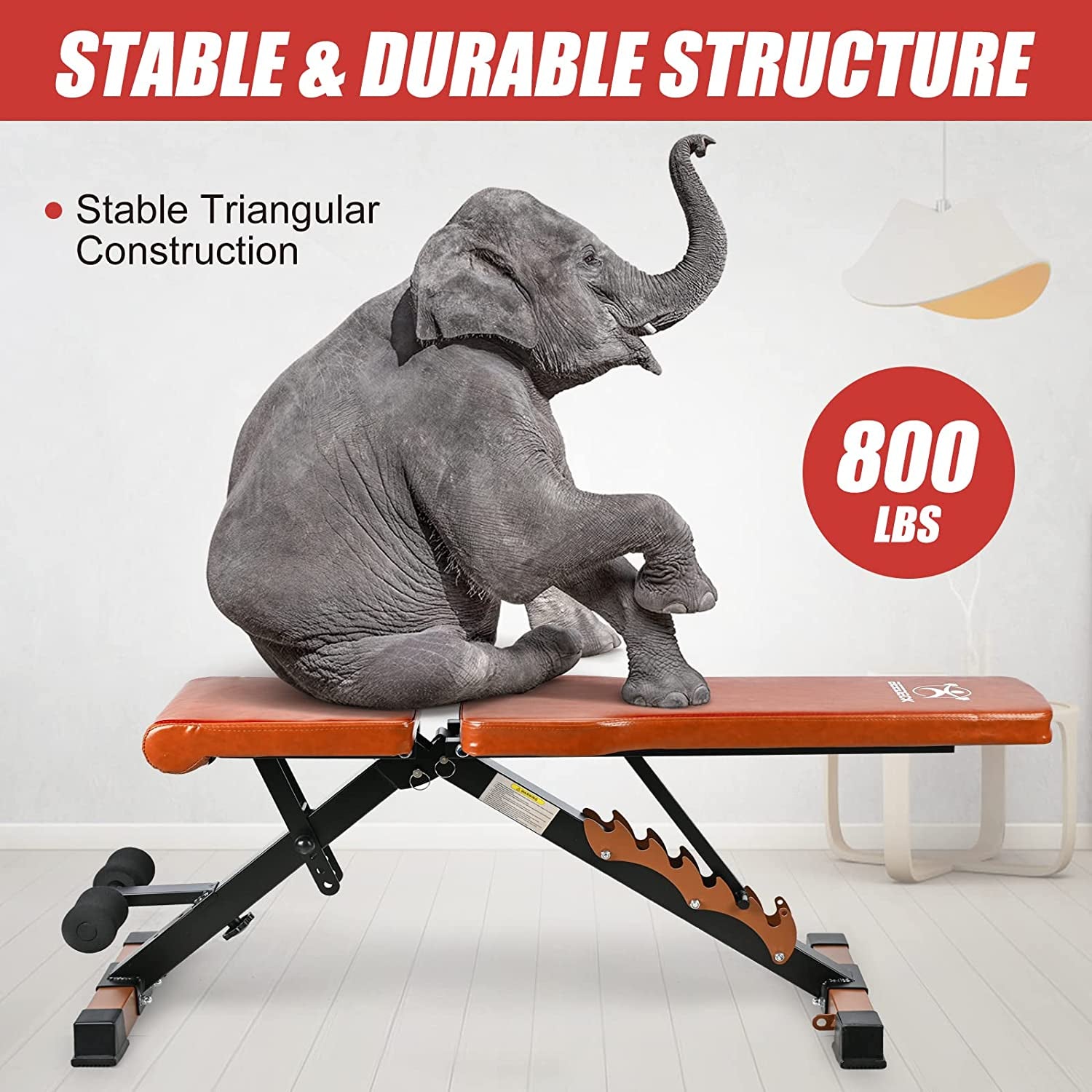 "Ultimate Strength Training Bench: Achieve Your Full Body Fitness Goals with Our Foldable, Adjustable Weight Bench - 800Lbs Capacity!"